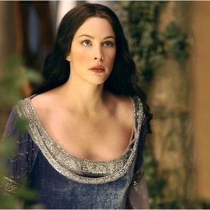 Arwen Halloween Cosplay Costume Lord Of The Rings - Worn Once, With Accessories